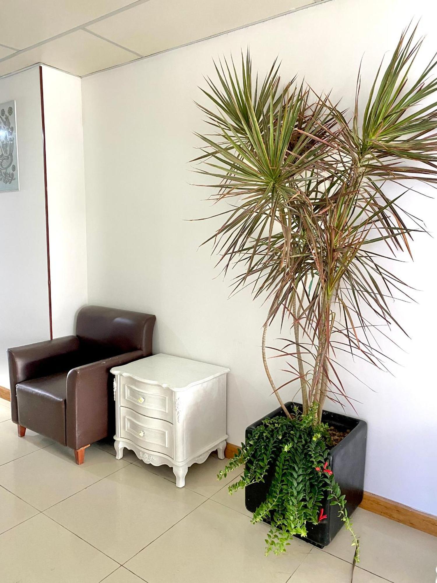 Zozo House - Homestay Bai Sau Vung Tau Exteriör bild